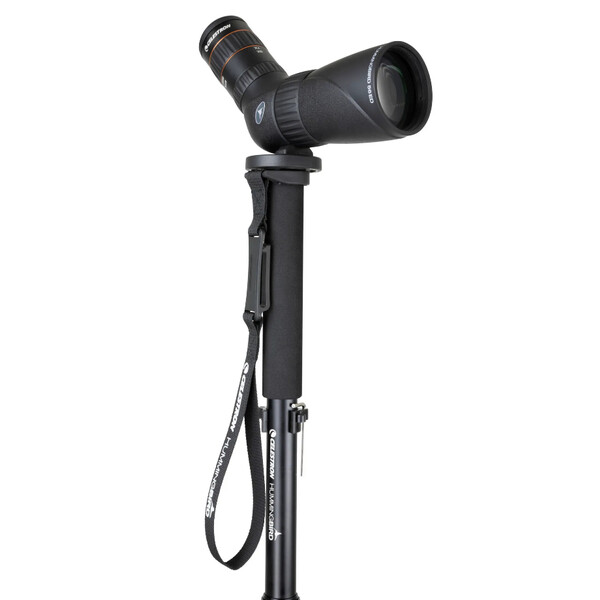 Celestron Aluminium monopod Hummingbird