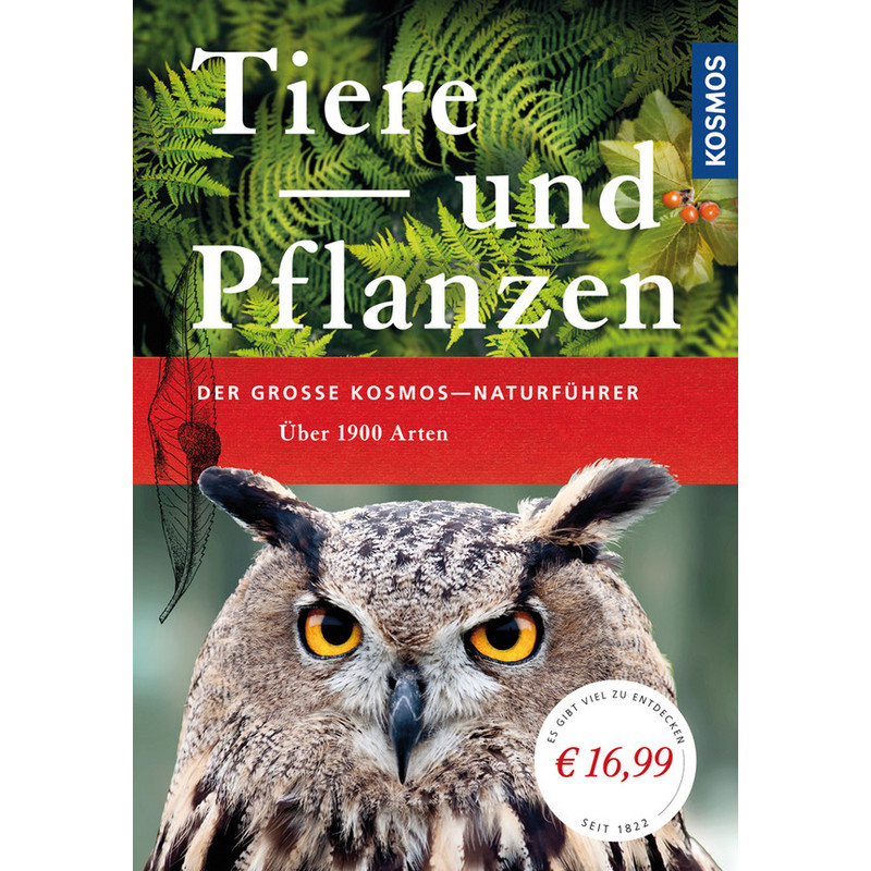 Kosmos Verlag Der große Kosmos-Naturführer Tiere und Pflanzen