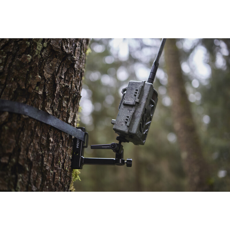 ZEISS Wildlife camera Set Secacam 5 & Metallgehäuse (2er Pack)